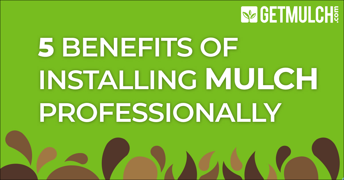 5 Benefits of Installing Mulch Professionally